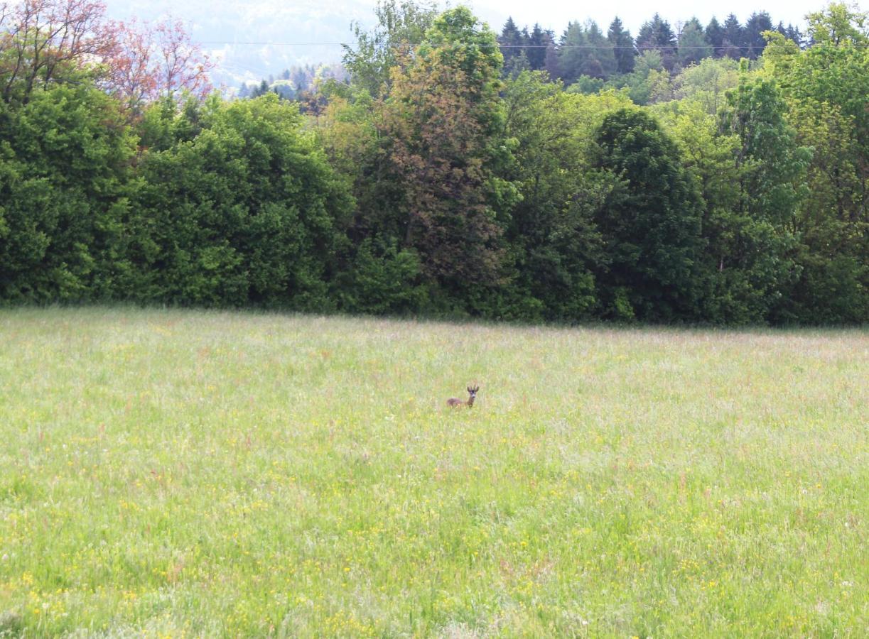 Haus Falle Schiefling am See Bagian luar foto