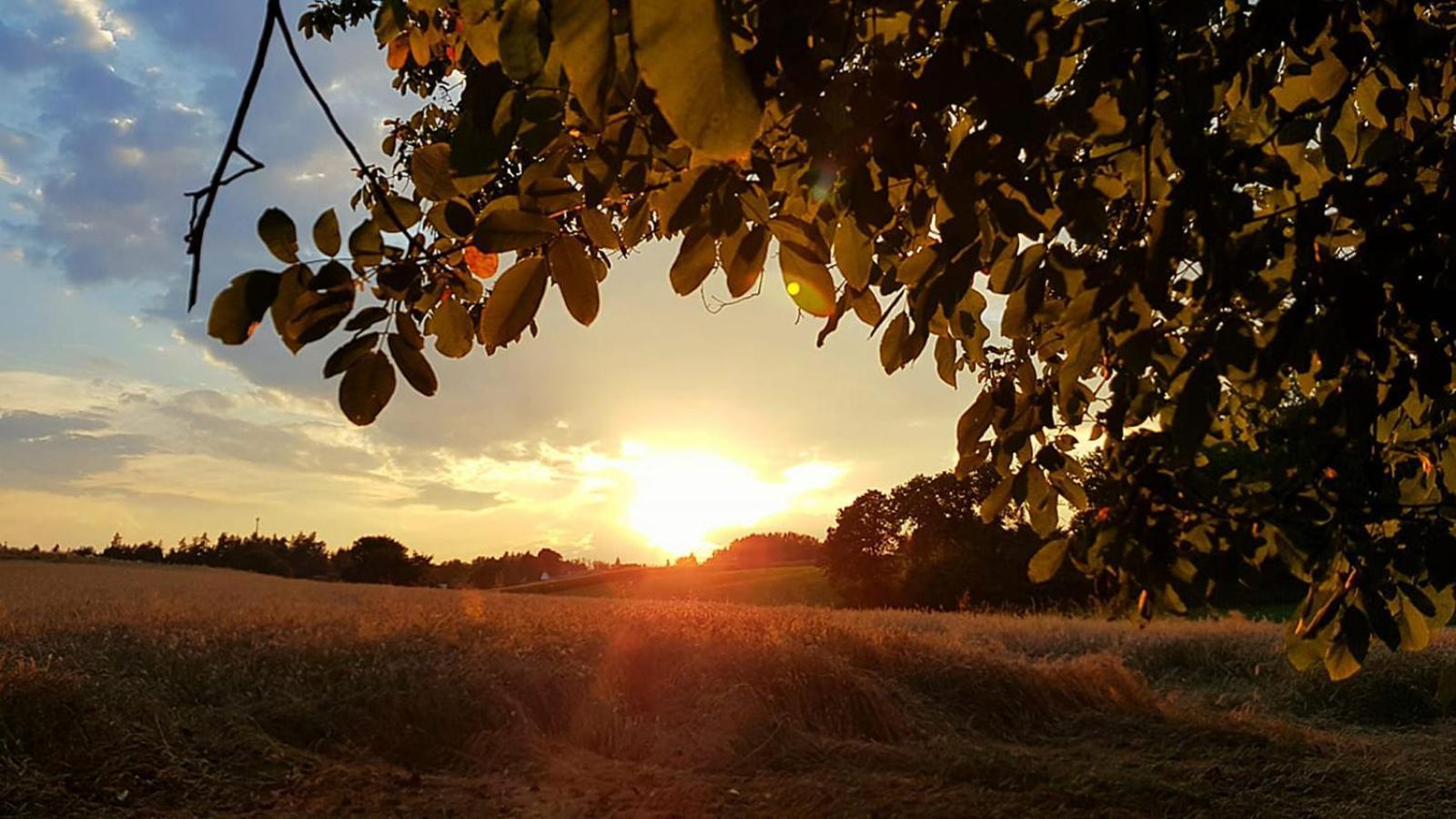 Haus Falle Schiefling am See Bagian luar foto